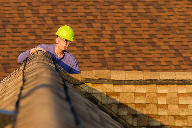 Best Roof Leak Repair  in North Springfield, VA